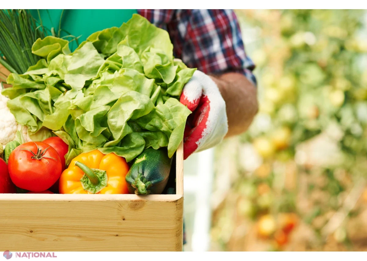 Producătorii agricoli, între scăderea prețurilor la culturi vegetale și scumpirea ouălor și mierii în prima jumătate a lui 2026