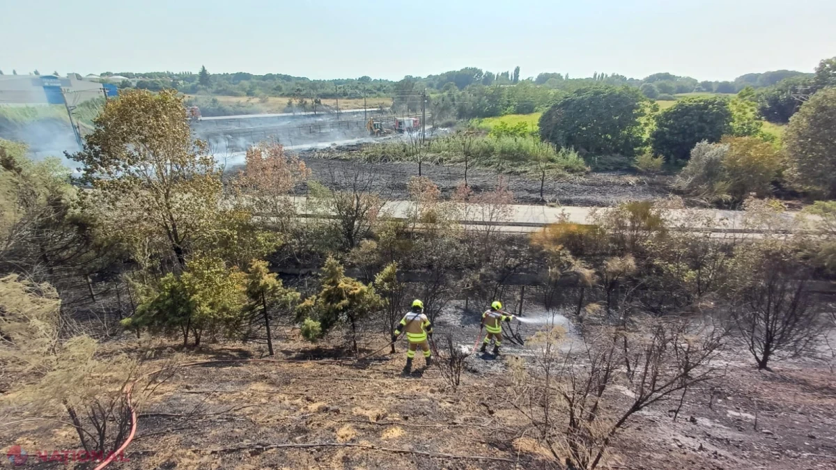 Pompierii moldoveni, cinci ore în lupta cu incendiile de vegetație de lângă Thessaloniki