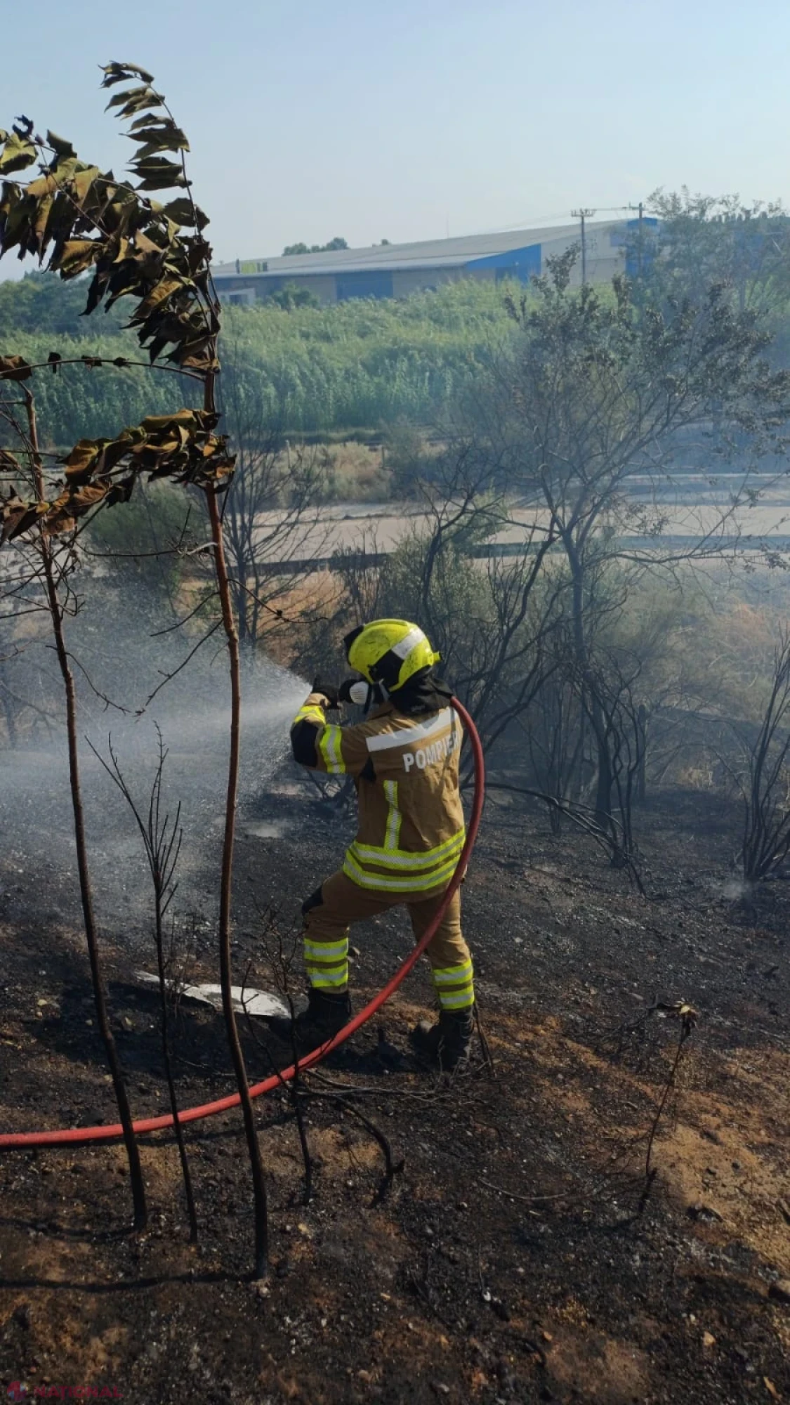 Pompierii moldoveni, cinci ore în lupta cu incendiile de vegetație de lângă Thessaloniki