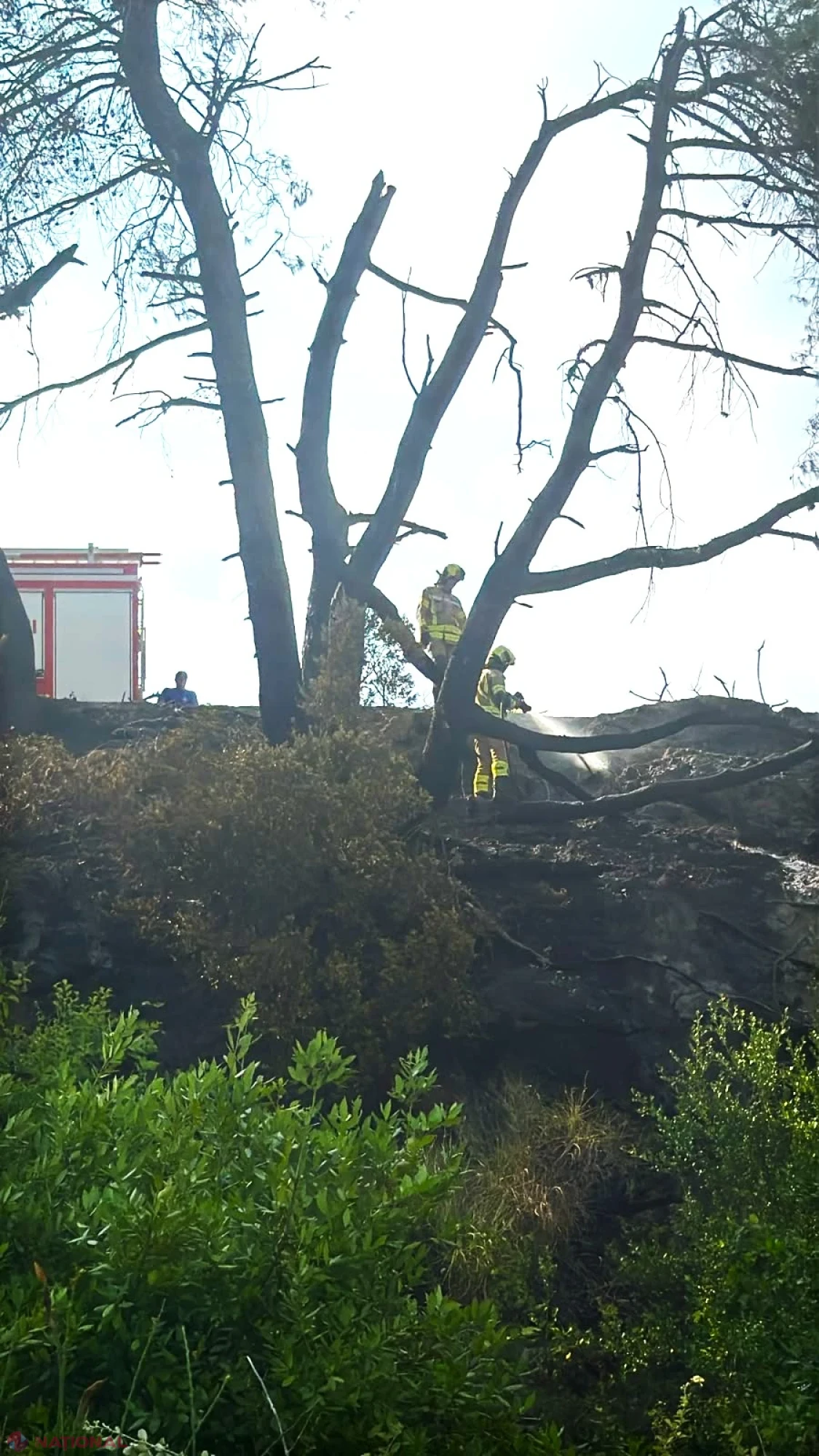 Pompierii moldoveni, în linia întâi alături de autoritățile elene la stingerea incendiului forestier din Kassandra, Grecia