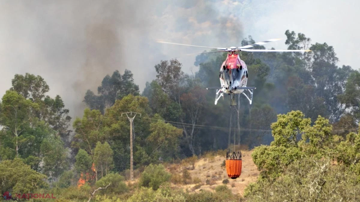 Rămășițele primilor regi ai Aragonului, vechi de un mileniu, salvate dintr-o mănăstire amenințată de incendiile de vegetație din Spania