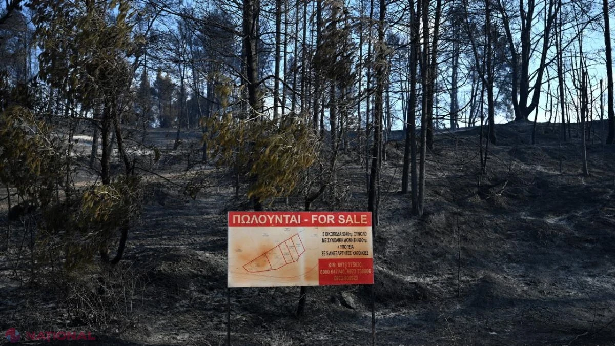 Insula grecească Skyros, devastată de un incendiu de vegetație: zeci de pompieri și aeronave luptă să salveze zonele turistice
