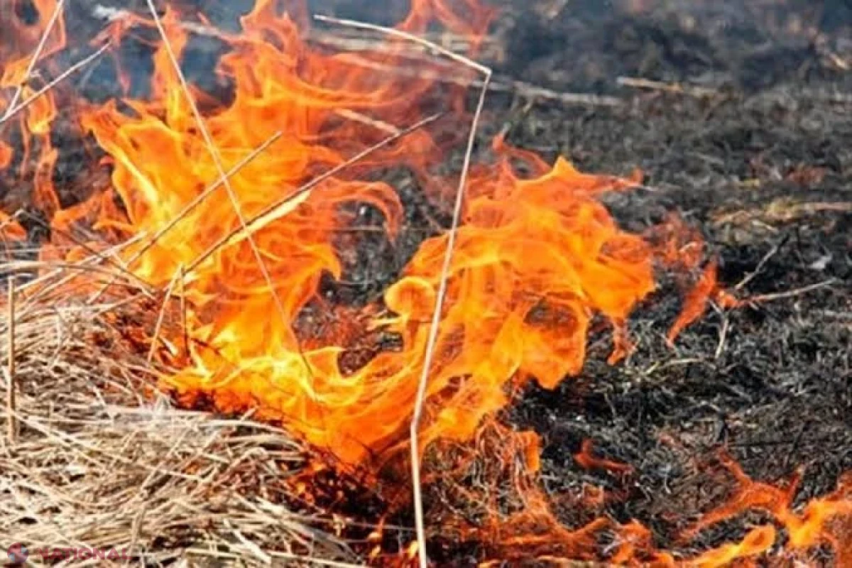 Incendiu de vegetație pe bulevardul Traian din Chișinău, stins de pompieri înainte să ajungă la locuințe