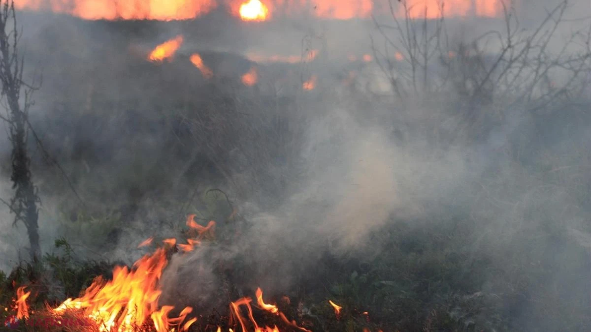 Incendiile de vegetație devastează Serbia, iar fumul gros sufocă Sofia: autoritățile le cer oamenilor să nu iasă din case