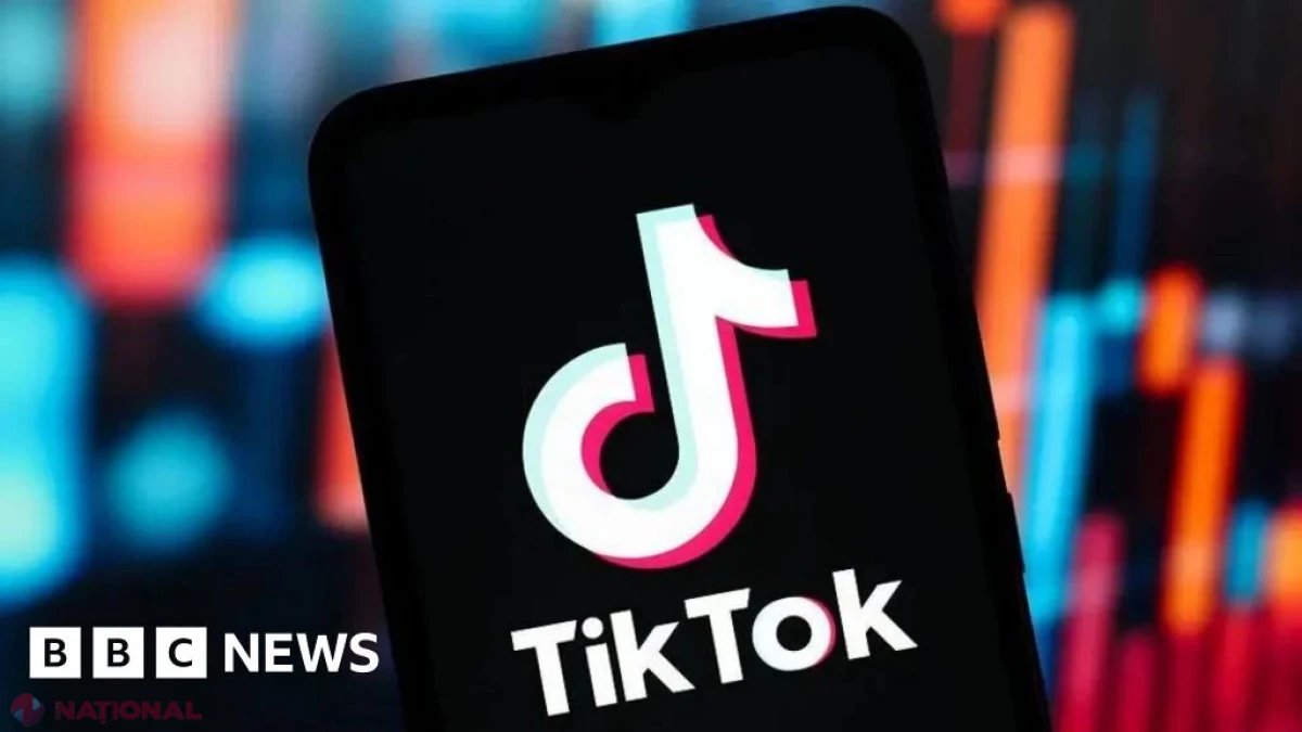 TikTok refuză să dea explicații în parlamentul irlandez după tragedia cu adolescenți care conduceau pe contrasens