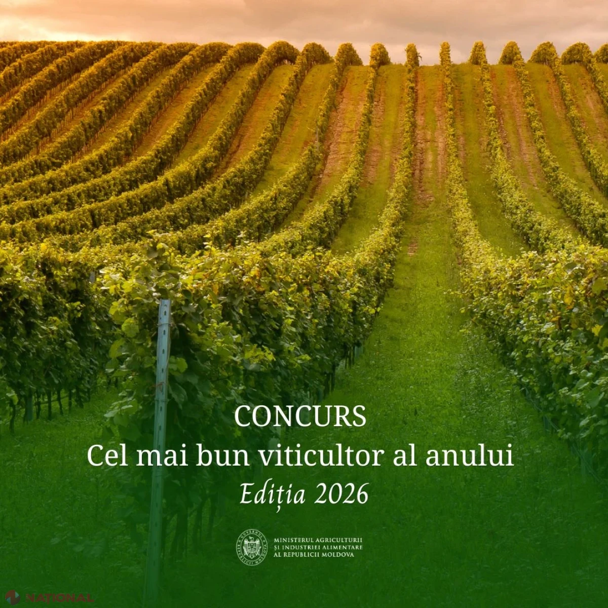 Start înscrieri la concursul „Cel mai bun viticultor al anului 2026”, organizat de Ministerul Agriculturii în cadrul Zilei Naționale a Vinului