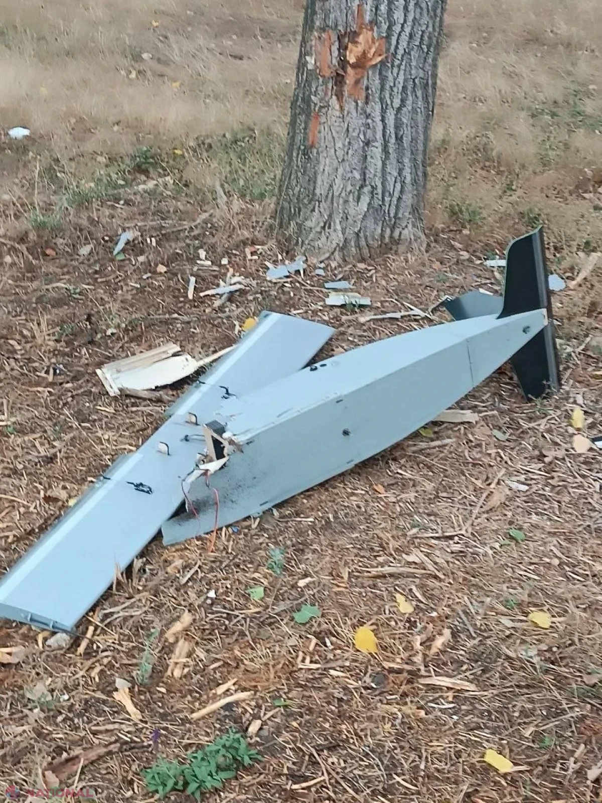 Cinci drone au violat spaţiul aerian al R. Moldova înaintea paradei de Ziua Independenţei, un obiect zburător a căzut lângă traseul Chişinău-Basarabeasca