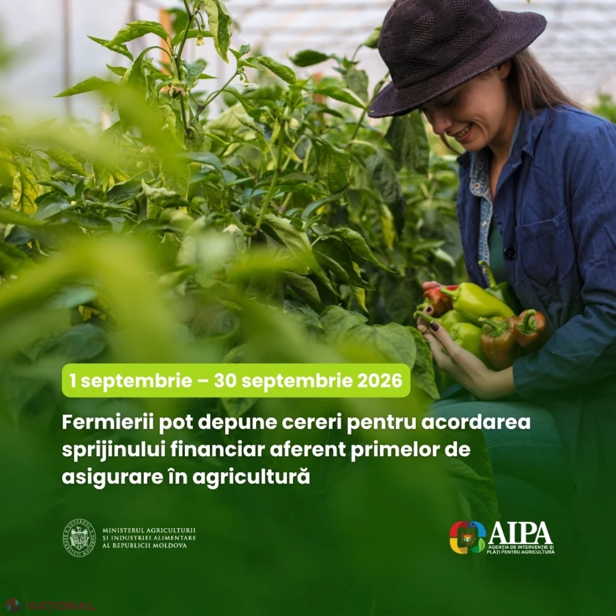 Fermierii pot solicita în septembrie 2026 sprijin financiar pentru primele de asigurare în agricultură