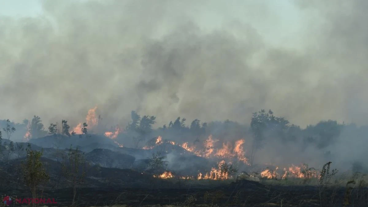 Incendii de vegetație în Sardinia, Grecia și Spania: evacuări, coduri de risc și intervenții aeriene masive