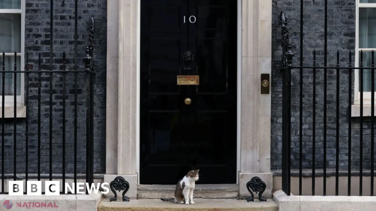 Anunț fals pentru 10 Downing Street pe Booking.com: organizația Which? acuză platforma că nu își protejează utilizatorii de escrocherii online