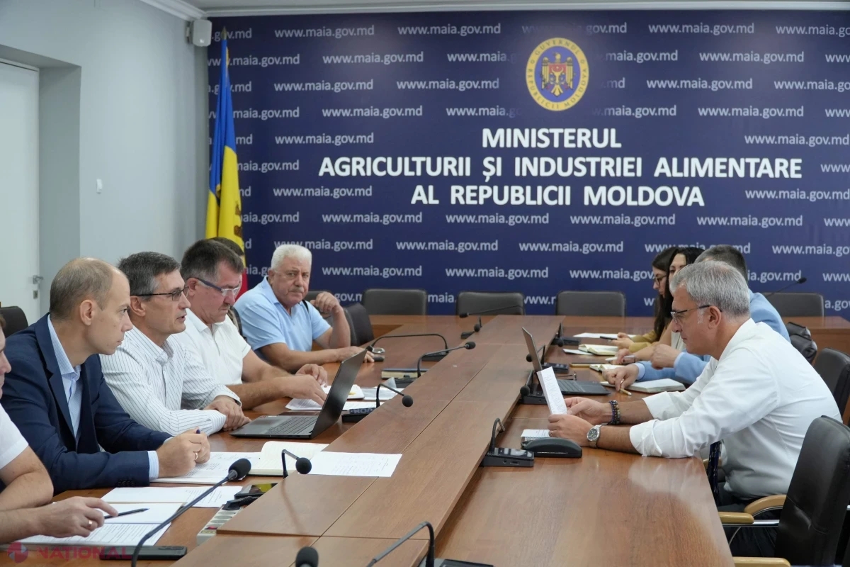 Autoritățile discută măsuri pentru relansarea sectorului apicol și promovarea mierii moldovenești peste hotare