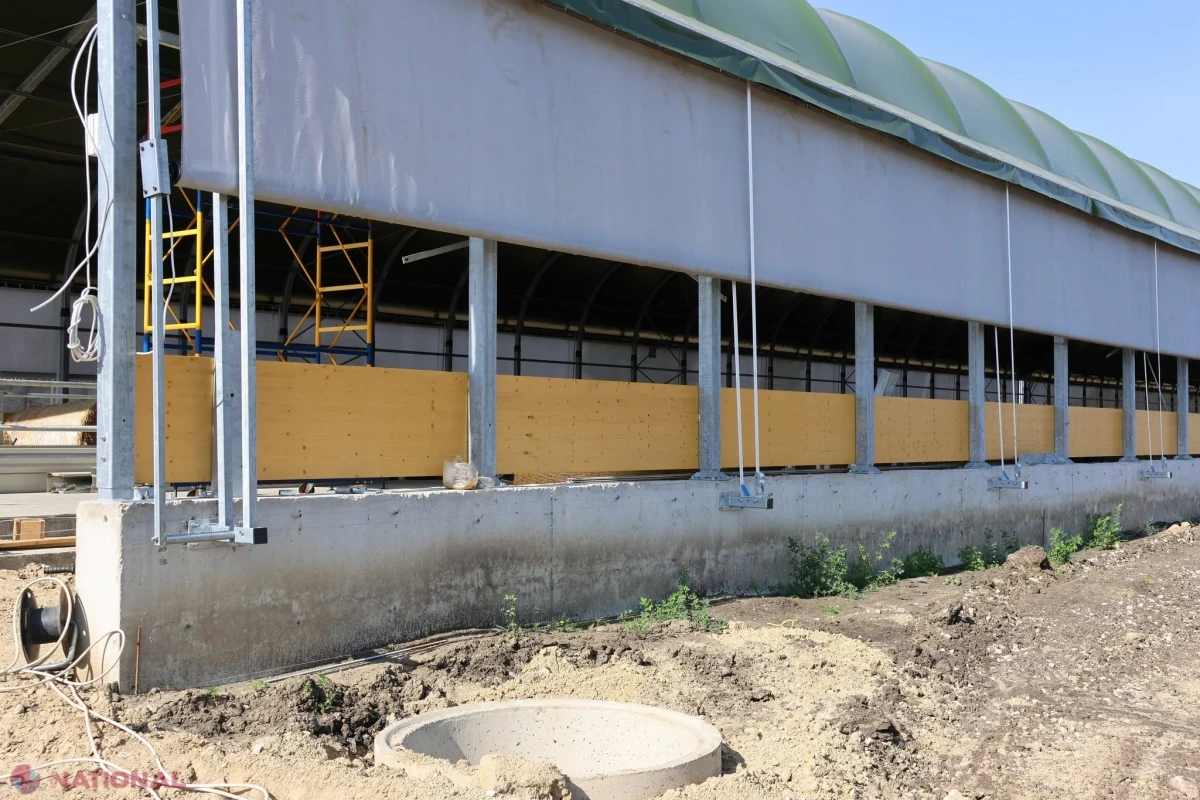 Ferma de ovine pentru carne de la Buțeni prinde contur cu un grant de 1 milion de dolari