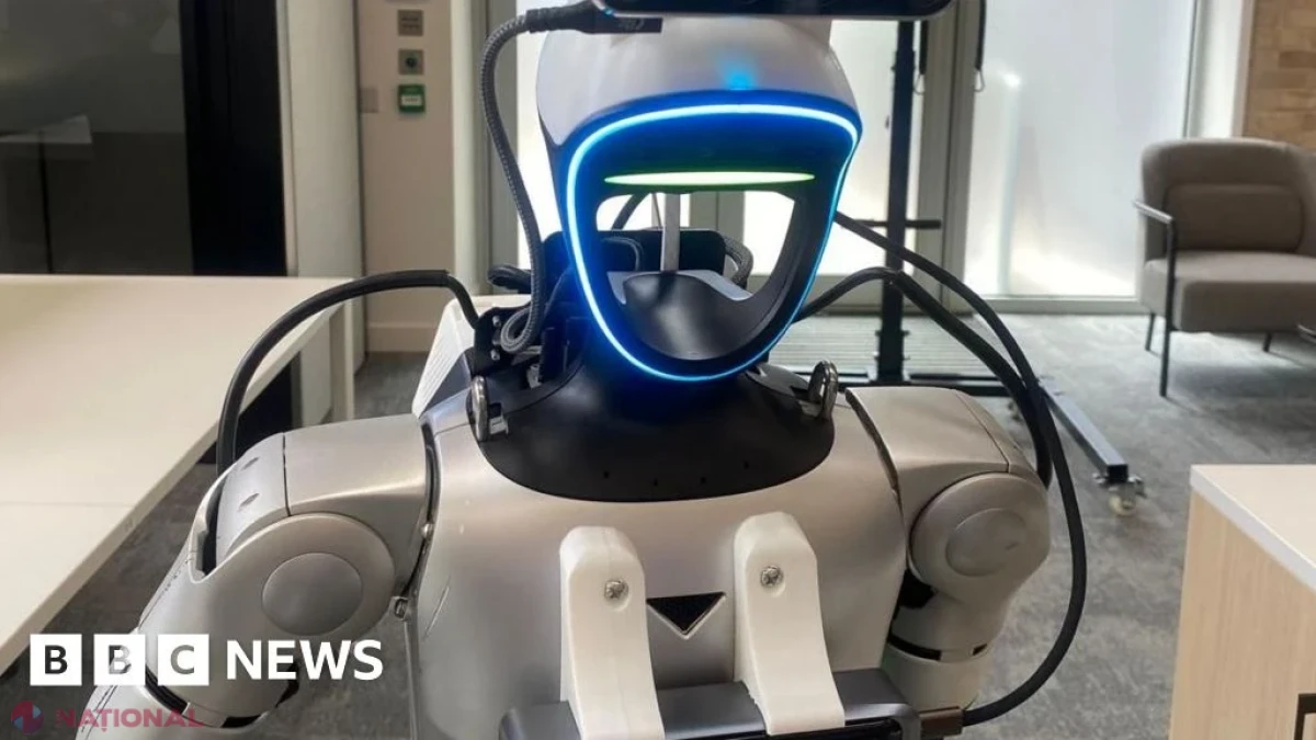 Lumile virtuale în care roboții învață să îndeplinească sarcini în lumea reală