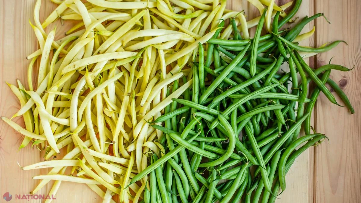 Italia: cultivarea fasolei, interzisă pe o rază de 300 de metri în jurul casei și școlii unui copil cu favism