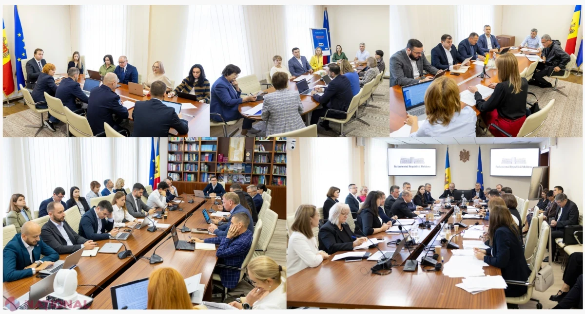 Inițiative pentru energie, infrastructură și protecția socială, examinate de comisiile Parlamentului