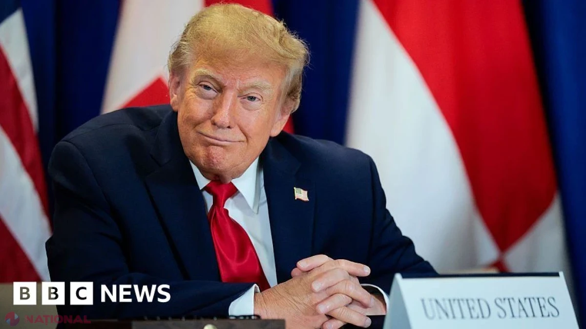 Propunerea lui Trump de a redenumi inteligența artificială coincide cu o creștere fără precedent a domeniilor .si din Slovenia