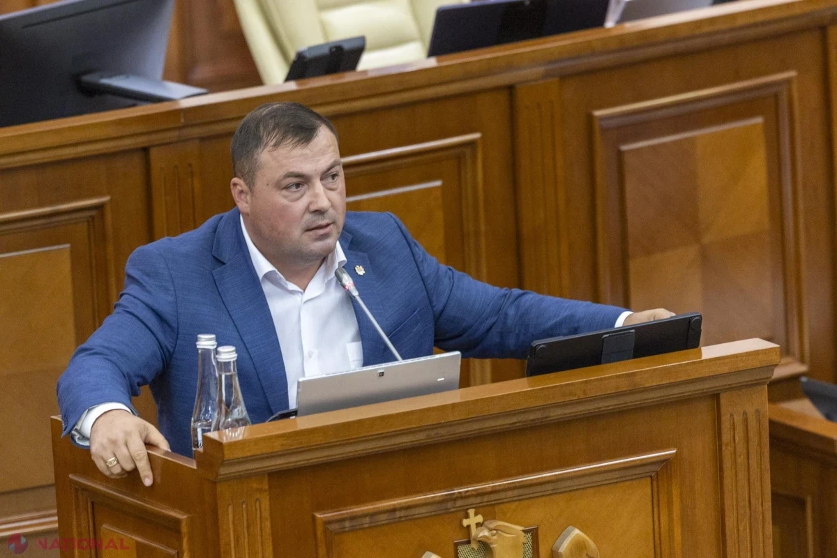 Parlamentul a stabilit criterii mai clare pentru intrarea pe rod a plantațiilor horticole