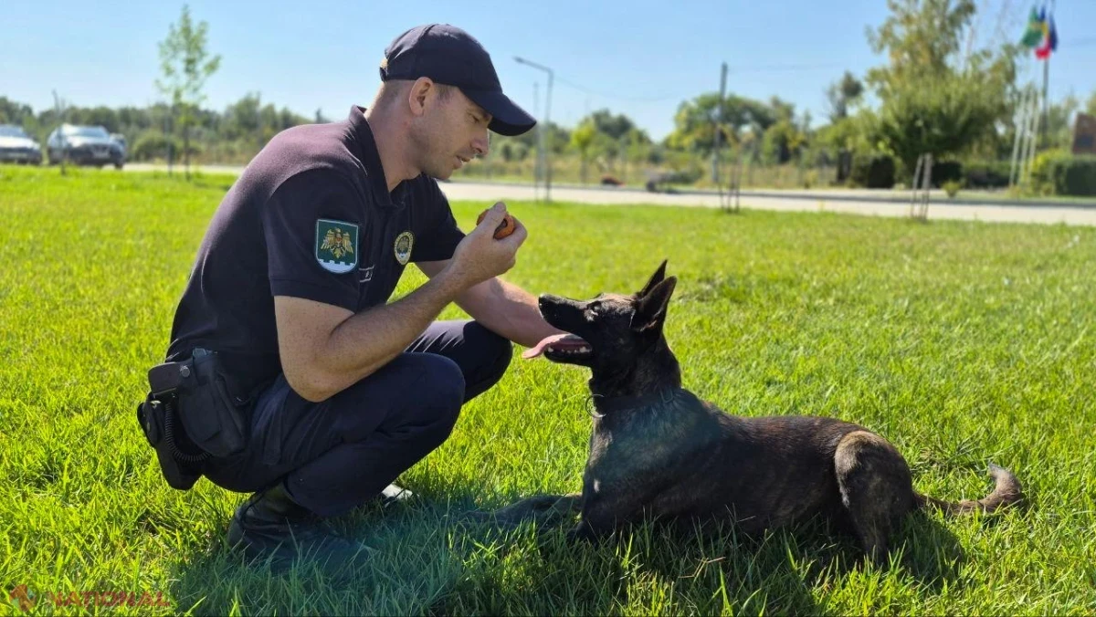 Poliția de Frontieră își deschide porțile la Cahul pentru cei interesați de o carieră în instituție
