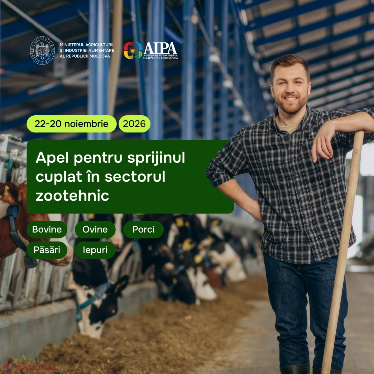 Fermierii pot depune cereri pentru sprijinul financiar destinat producției de carne de bovine, ovine, porc, pasăre și iepure