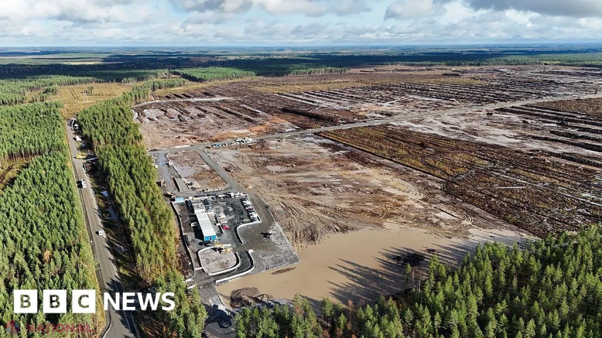Finlanda suspendă lucrările la două centre de date Google pe fondul îngrijorărilor privind defrișarea a peste 300 de hectare de pădure