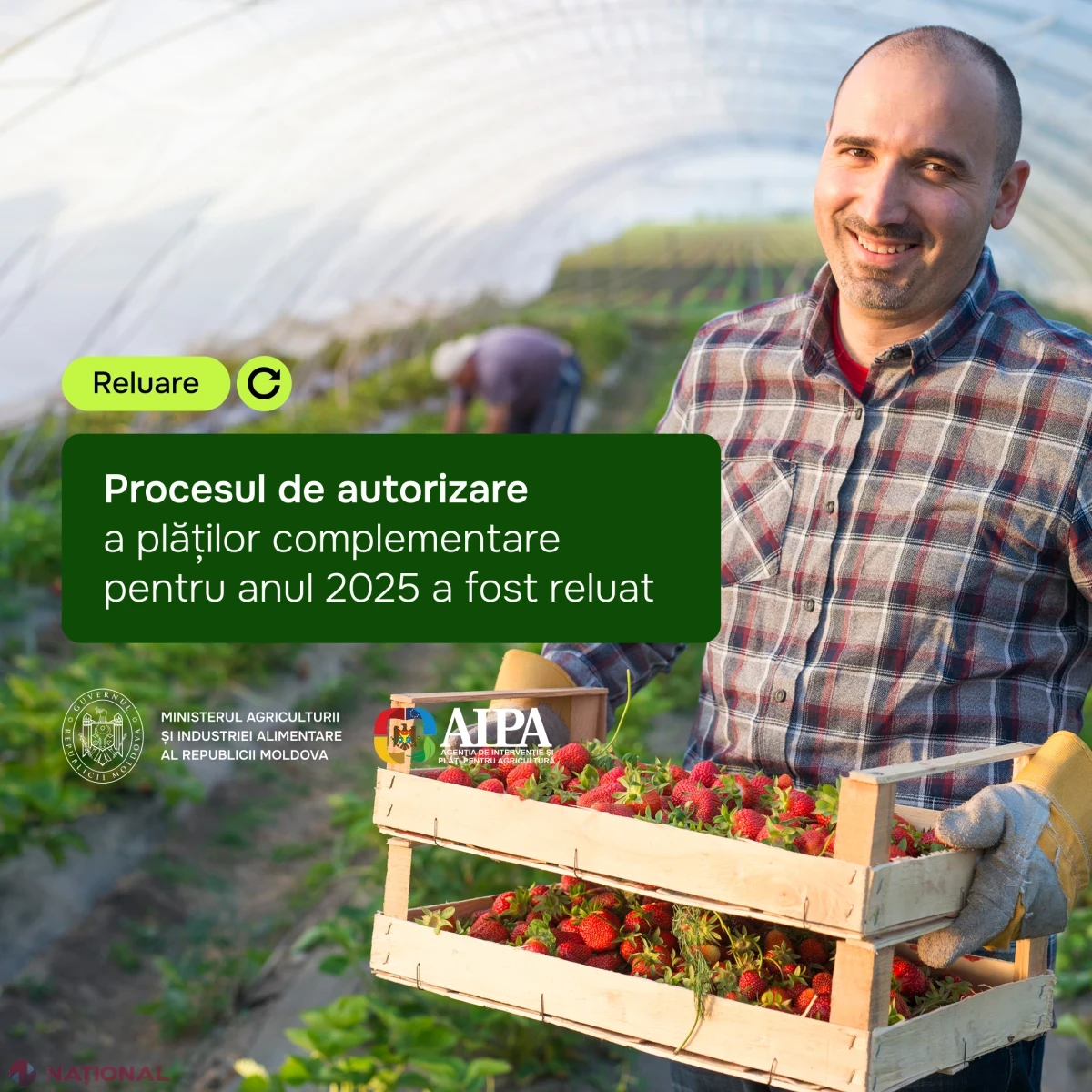A fost reluată autorizarea plăților complementare pentru circa 3 700 de cereri depuse de fermieri