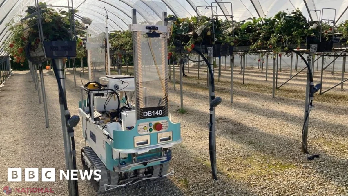 Marea Britanie investește 40 de milioane de lire în opt centre pentru adoptarea roboticii