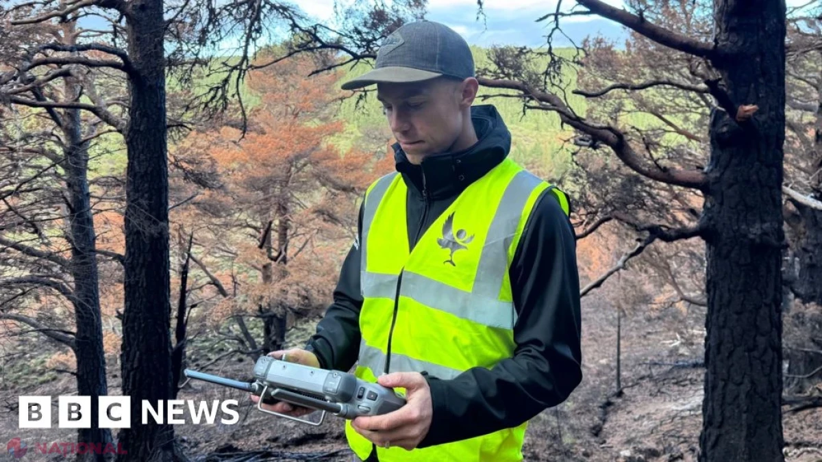 Dronele detectează focare ascunse sub pământ, la luni după incendiul din Cairngorms