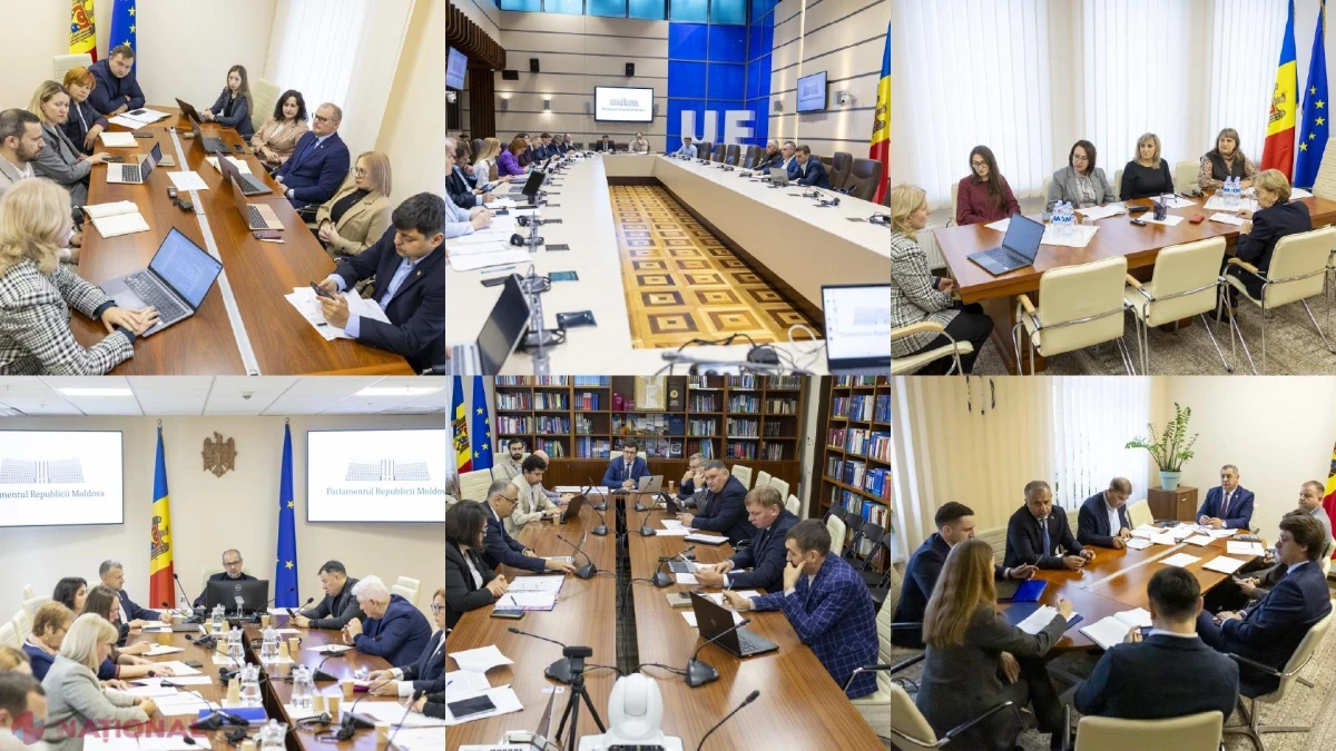 Pensii pentru moldovenii din Irlanda și alte subiecte, pe agenda comisiilor parlamentare