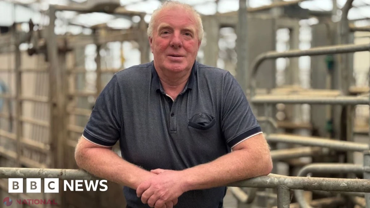 De la agricultură la „AI-gricultură”: tehnologia transformă fermele