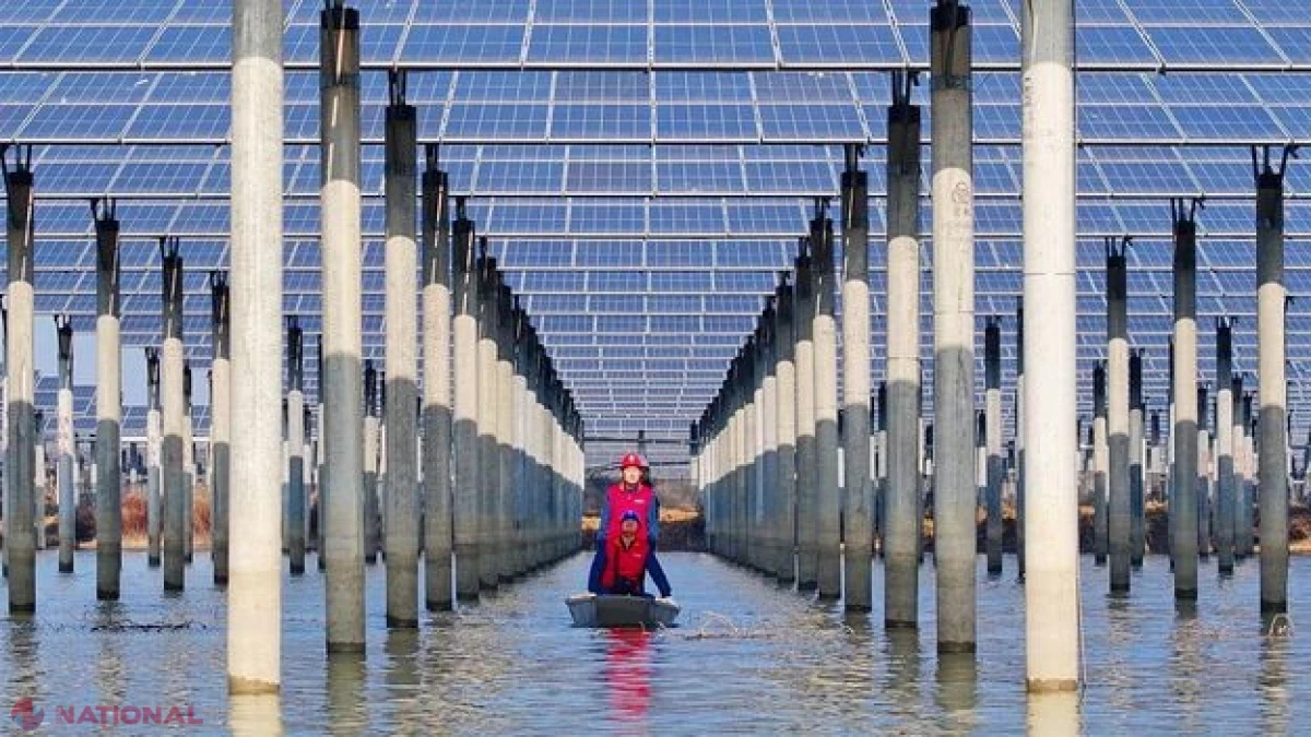 Cum a depășit energia solară energia nucleară și a devenit „ofensiv de ieftină”