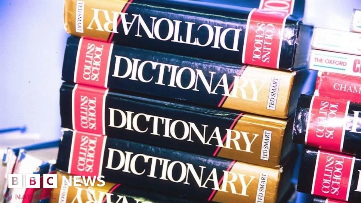 „Maxxing”, ales cuvântul anului 2026 de Dictionary.com