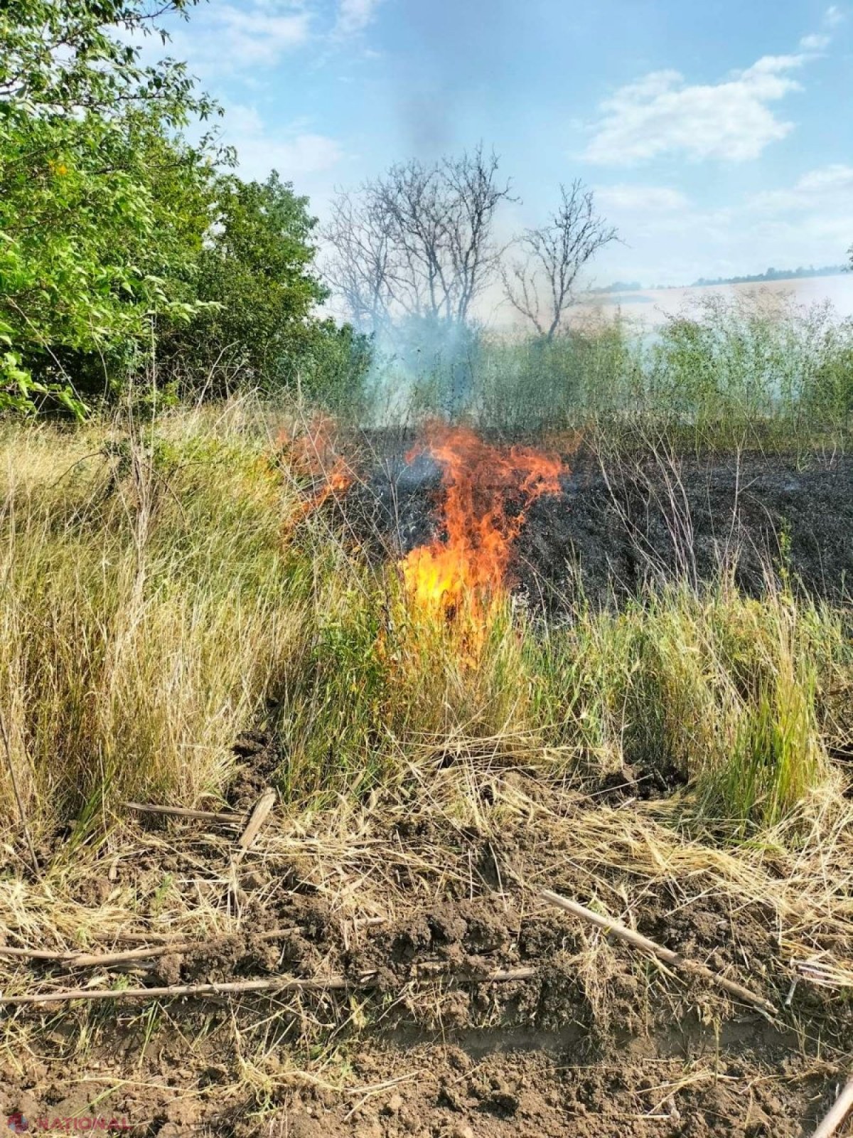 FOTO // Hectare întregi cu GRÂU și ORZ au ars la Anenii Noi