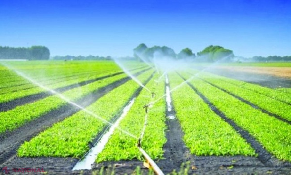 IFAD va acorda un credit de aproape 19 milioane de euro și un grant de peste 5,5 milioane de dolari pentru a dezvolta agricultura și a reduce sărăcia din R. Moldova