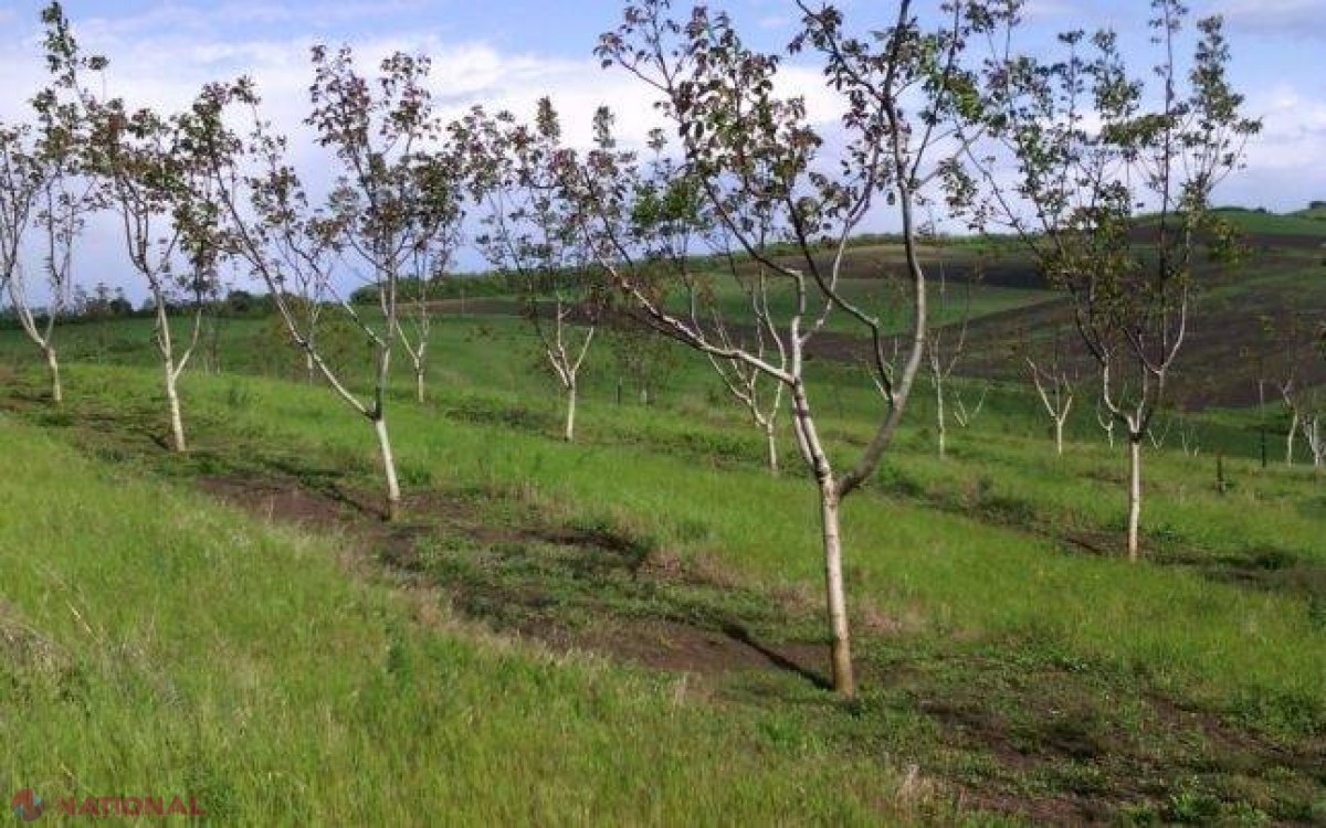 A investit 6.400 de euro şi a avut profit de peste 600.000 de euro. Businessul cu care reuşeşti să-ţi recuperezi investiţia de 100 de ori. REŢETA succesului este extrem de simplă şi la îndemâna oricui