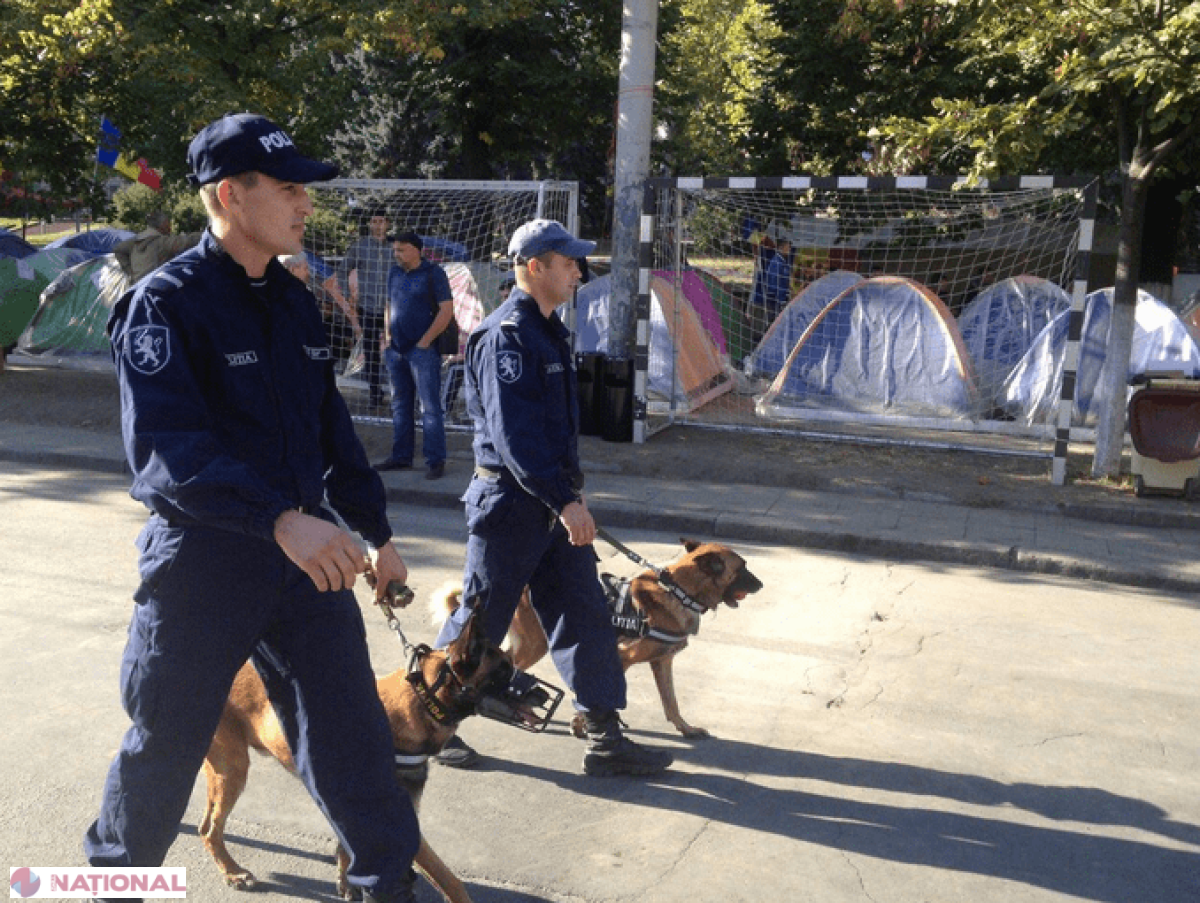 PREMIERĂ // Plutonul de cavalerie și câinii polițiști vor ajuta la menținerea ordinii publice în timpul protestelor