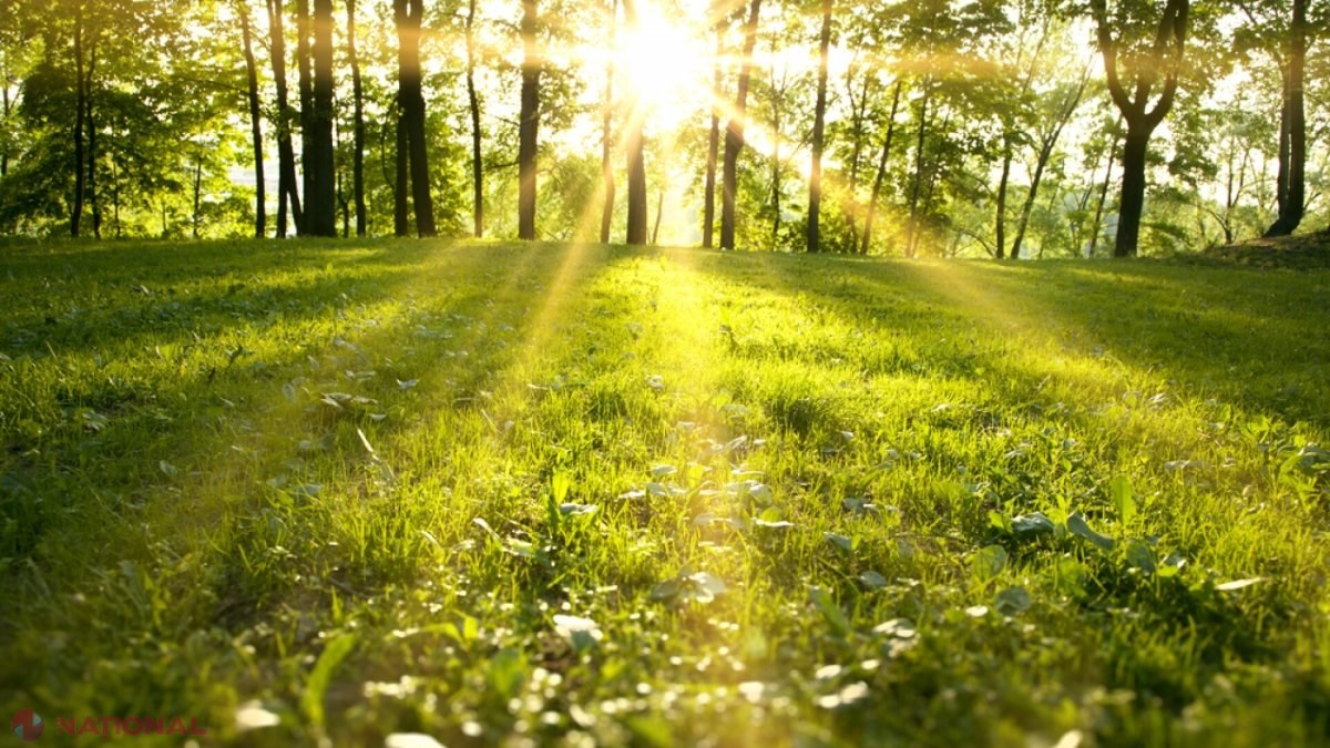 RECORD // Plus 74 de grade Celsius, înregistrate în R. Moldova: Unde și când a fost fixată temperatura 