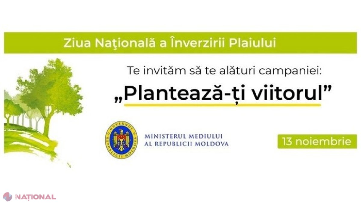 Angajați din zeci de instituții publice vor planta, la sfârșitul săptămânii, pomi în cadrul CAMPANIEI de înverzire, lansată de Ministerul Mediului: Cinci milioane de puieți, 30 de tone de ghindă și 580 de hectare regenerate