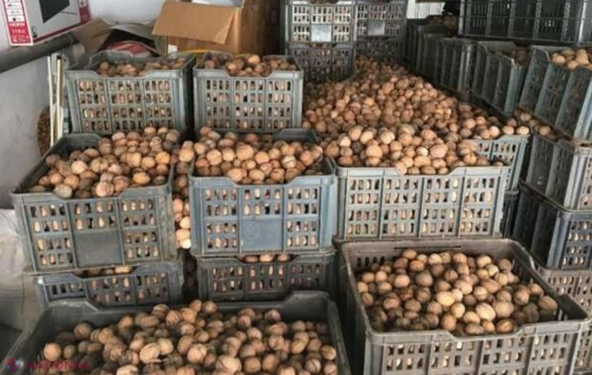 Agenții economici care vor procura direct de la populație produse agricole, inclusiv nuci, vor trebui să plătească 5% impozit în bugetul de stat 