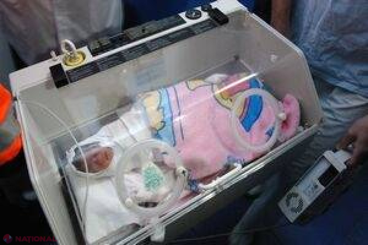 Un câine a devenit erou naţional după ce a salvat un bebeluş aruncat la gunoi