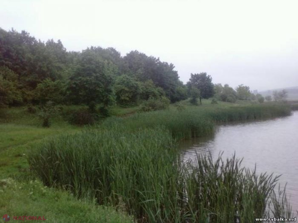 Insul care a OMORÂT o tânără, iar cadavrul dezmembrat al acesteia l-a aruncat în lacul de la Grătești, condamnat la 15 ani de închisoare: Procurorii sunt nemulțumiți și cer detenție pe viață