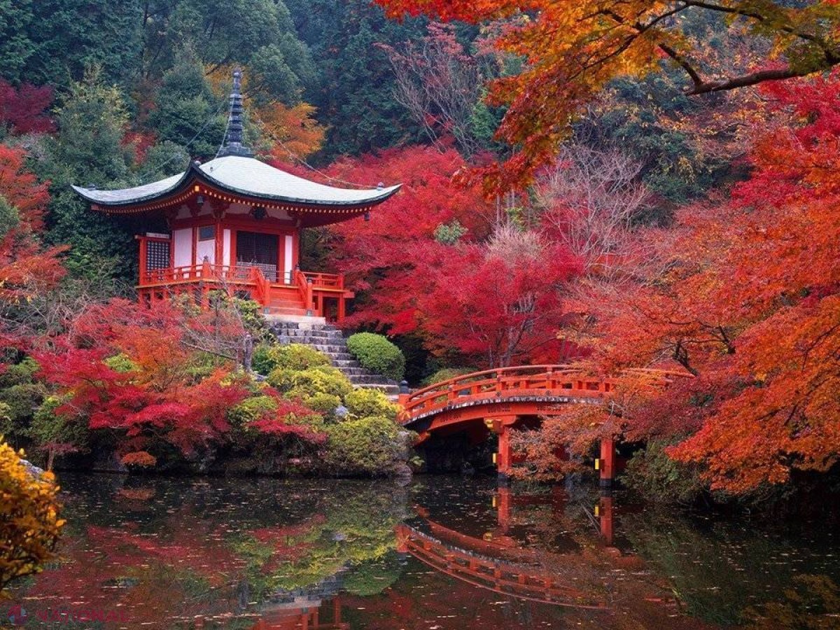Activități dedicate culturii JAPONEZE la un festival autumnal în Chișinău