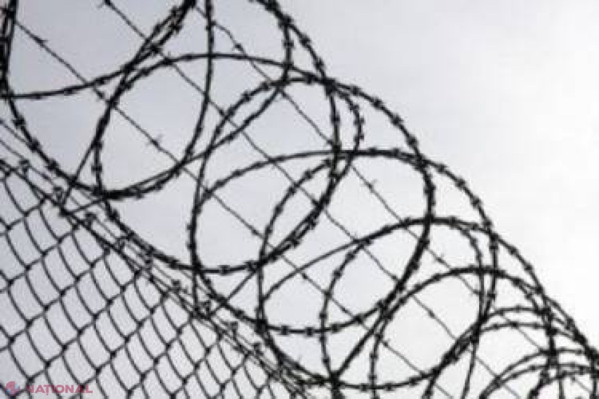 I s-a făcut dor de libertate și a vrut să evadeze 