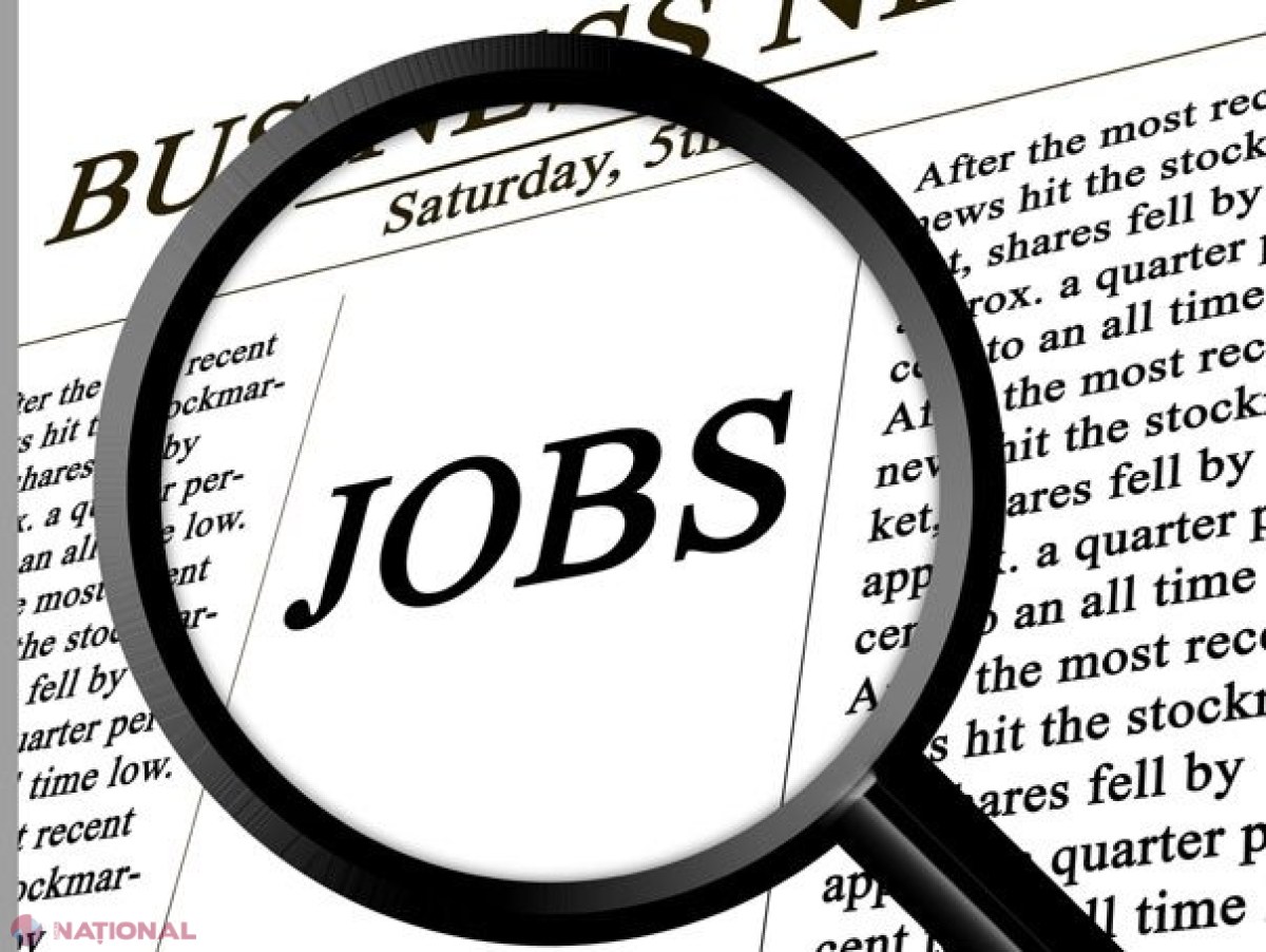 Facilități pentru ȘOMERII din R. Moldova. Statul va SUBVENȚIONA 80% din cheltuielile necesare pentru inițierea unei afaceri și va mări cu 20 la sută bursa celor înmatriculați la cursuri de formare profesională