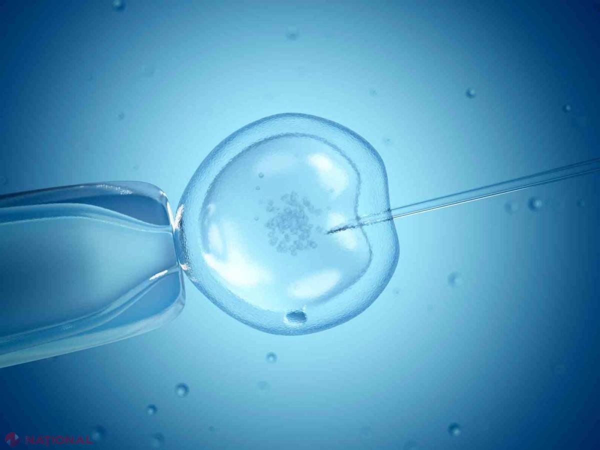 PROPUNERE // Cum vor fi selectate cuplurile din R. Moldova pentru a beneficia de fertilizare in vitro GRATUITĂ  
