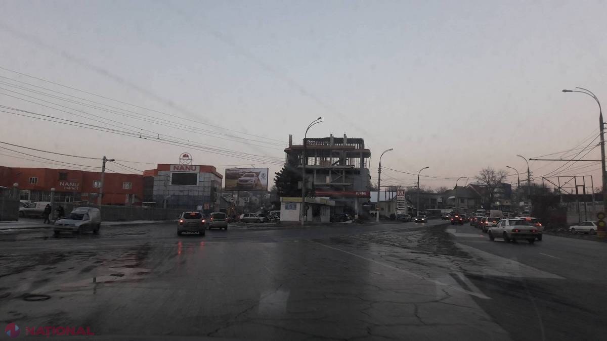 POZA ZILEI // Brad ÎMPODOBIT la Chișinău, în pragul primăverii