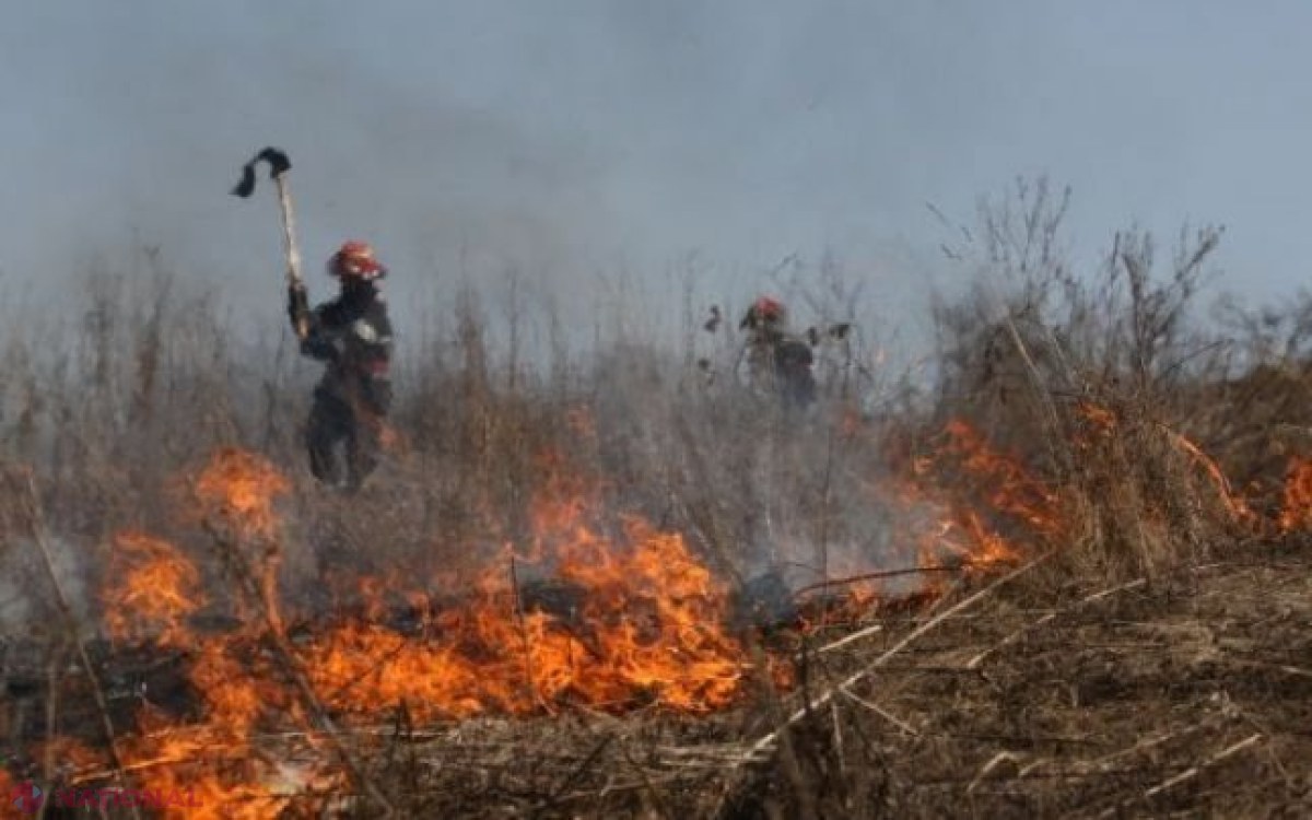 Nu-i sperie nici AMENZILE mari: 39 de INCENDII care au pârjolit într-o singură zi 120 de hectare de vegetație în R. Moldova