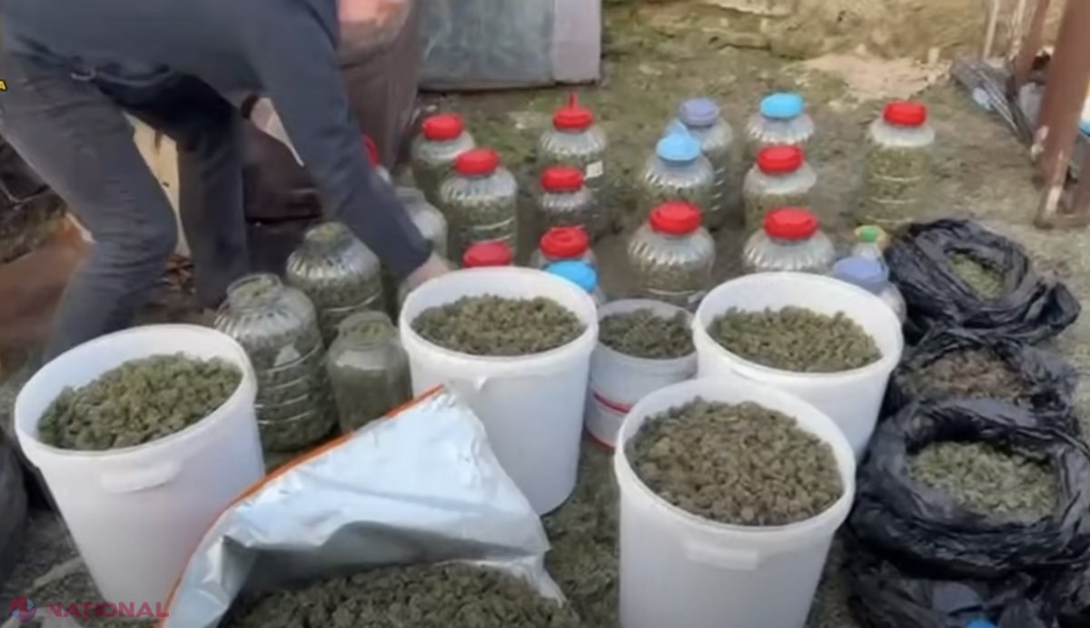 VIDEO // Operațiune ca în FILME în Anenii Noi: Mascații de la „Fulger” au descins la o fermă de bovine, unde au găsit la un ,,fermier