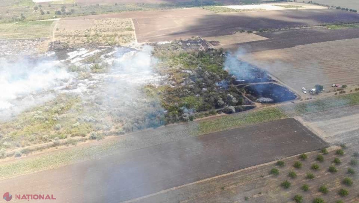 Incendiu la Cahul: Flăcările au cuprins câteva hectare de pădure. Șase echipe de pompieri au intervenit 