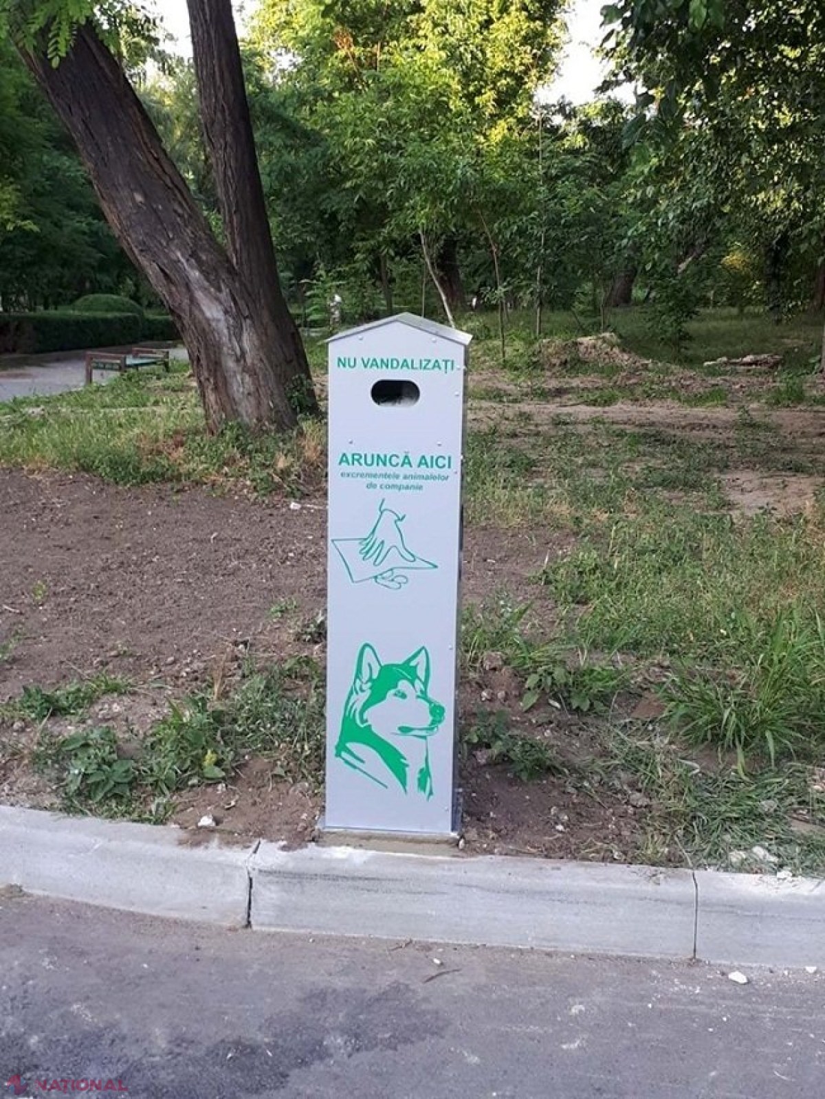 FOTO // Pubele speciale pentru excrementele animalelor de companie, instalate în parcurile din Chișinău