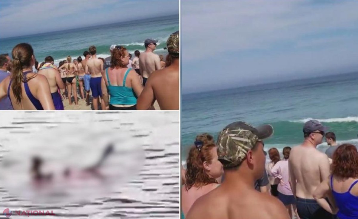 Noi detalii despre TRAGEDIA din Egipt, soldată cu două persoane UCISE de un RECHIN. Acesta ar fi fost văzut în larg cu 15 minute înainte de atac, dar salvamarii „au râs” de avertismentele turiștilor